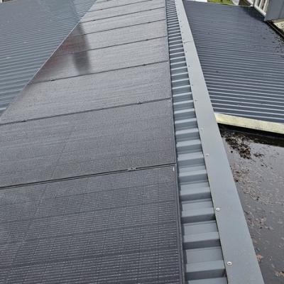 foto zonnepanelen 010